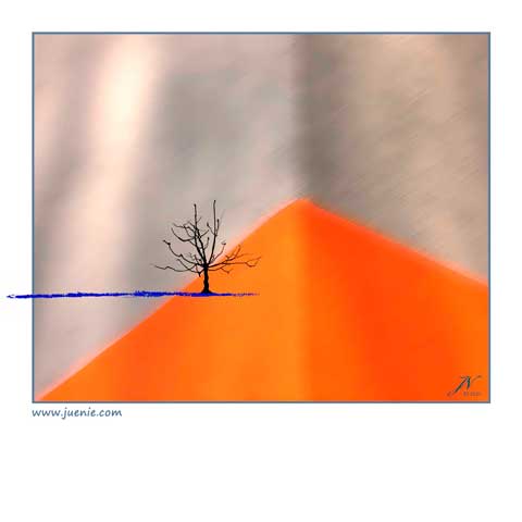Die Emanzipation des Baumes